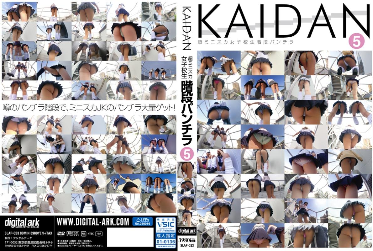 盗撮】ＫＡＩＤＡＮ 超ミニスカ女子校生階段パンチラ５ | 宅配アダルトDVDレンタルのTSUTAYA DISCAS